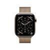 Apple Watch Series 11